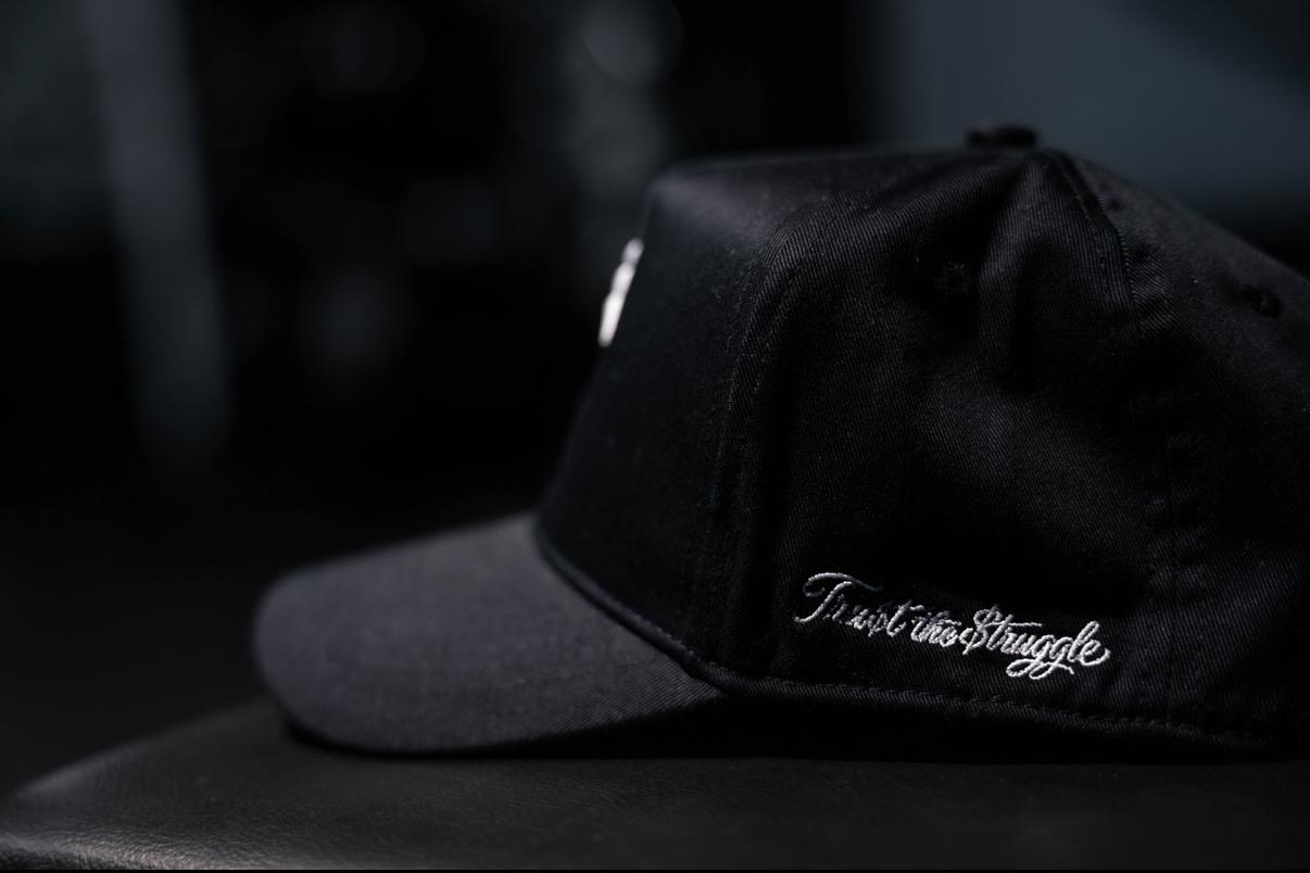 TT$ Logo hat