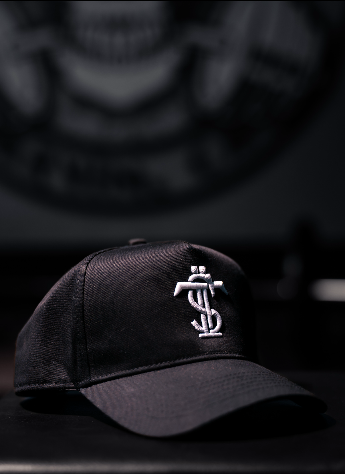 TT$ Logo hat